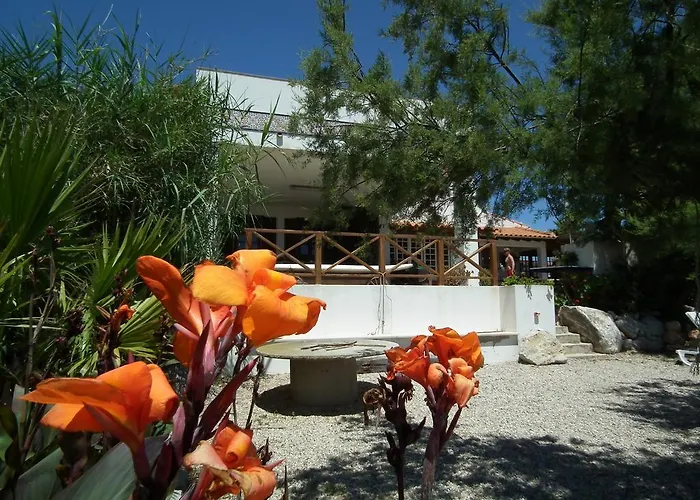 Hostel Da Silva Surfcamp Areia Branca